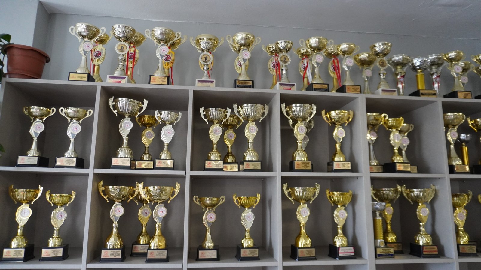 Fokus Okçuluk Kulübü